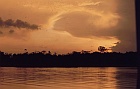 Manaus og Amazon 20.-21.11